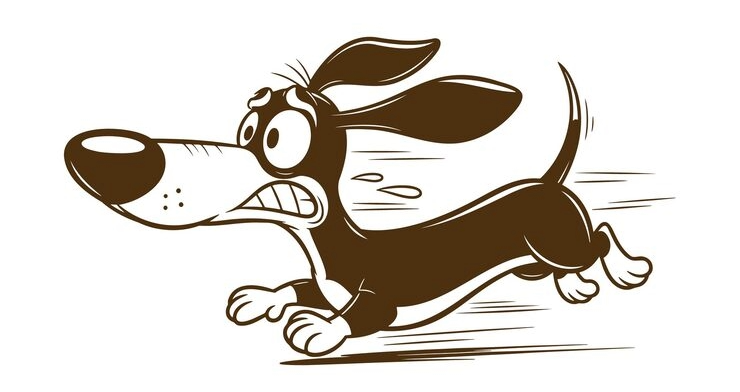 Leash Reactivity: The Mistakes Even Good Trainers Make (Part 1)